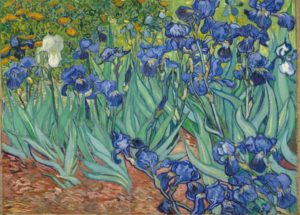 Iris tra i fiori di Van Gogh