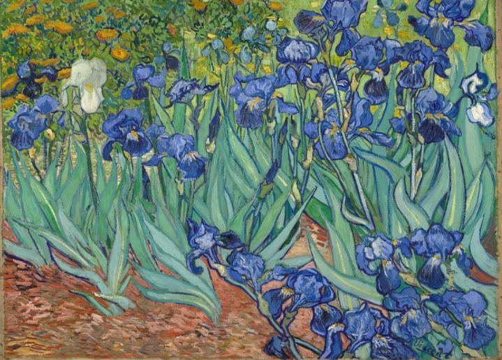 Tutti I Dipinti Di Van Gogh Opere di Van Gogh: ecco quali sono i quadri più famosi