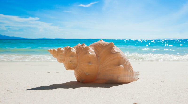 spiagge olbia