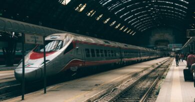 Treno Milano Parigi: Consigli per un viaggio comodo ed economico