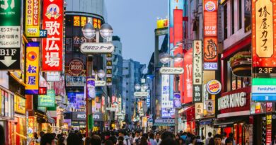 Viaggio in Giappone: i migliori itinerari e consigli per una vacanza indimenticabile