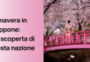 Primavera in Giappone